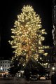 Silvester   002